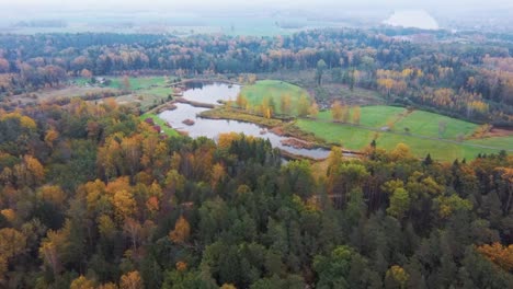 Luftaufnahme-Des-Grünen-Kiefern--Und-Fichtennadelwaldes-Und-Sees-In-Lettland