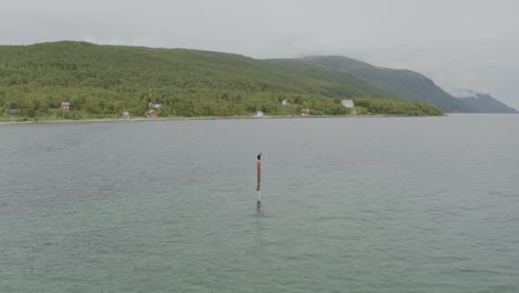 Relaxing-scene-of-Finnkroken-Island-with-a-lone-cormorant-on-a-pole