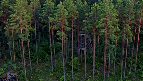 Eine-Verlassene-Mühle,-Versteckt-Zwischen-Den-Bäumen-In-Einem-Wald