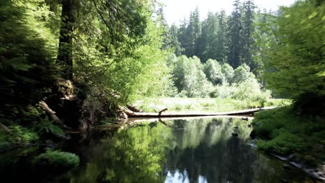 Passing-under-a-wooden-bridge,-Lush-green-forest-reflects-off-calm-mountain-creek-water,-aerial