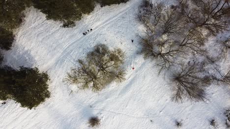 Top-down-view-of-people-keeping-social-distance-in-winter-forest