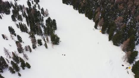 Luftdrohnenflugverfolgung-Von-Skifahrern,-Die-Im-Winter-In-Italien-Den-Schneebedeckten-Berg-Hinunterfahren