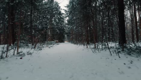 A-drone-shot-flying-quickly-down-a-path-in-winter-after-a-snowfall-in-Canada