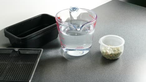 Microgreens-pea-seeds-soaking,-seeds-need-to-be-soaked-in-clean,-cool-water-for-8-24-hours