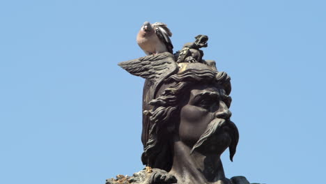 Static-slomo-shot-of-pigeon-perched-on-head-of-Ambiorix-statue,-Tongeren