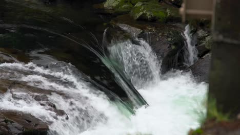 Water-shoots-into-churning-froth-a-the-bottom-of-a-small-cascade,-Washougal-River
