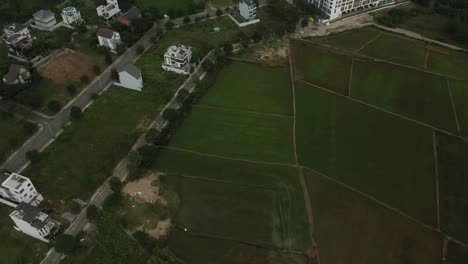 drone-shot-of-rice-fields-and-new-villa-and-high-rise-development-on-the-outskirts-of-Ho-Chi-Minh-City,-Vietnam