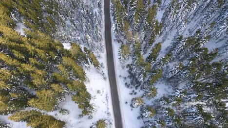 Aerial-dolly-push-over-snowed-road-pine-treetops-forest-winter-snow-wonderland