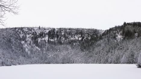 Weiße-Winterlandschaft-Mit-Verschneiten-Ästen-Und-Bäumen