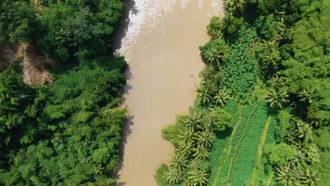 Top-view-on-Progo-river-and-lush-tropical-vegetation-on-Java,-Indonesia