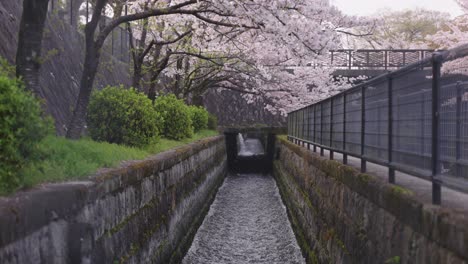 Biwako-Sosui-flowing-into-Keage-Incline,-Kyoto-in-Spring-Season