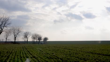 View-Of-Green-Grass-Field-Along-The-Rural-Road-During-Daytime---wide-angle-shot