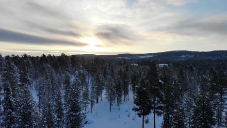 Verschneite-Wälder-Und-Landschaften-Im-Winter-In-Rovaniemi,-Lappland,-Finnland---Luftdrohne-Steigt-Auf