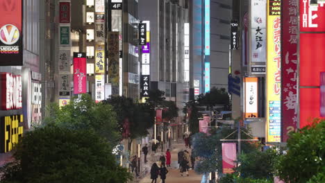 Gente-Caminando-En-La-Calle-Entre-Edificios-Y-Tiendas-Con-Letreros-De-Neón-Iluminados-Por-La-Noche-En-Shinjuku,-Tokio,-Japón