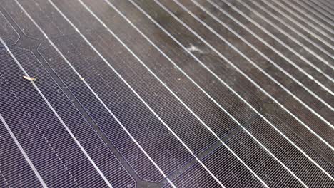 Close-up-dolly-detail-shot-of-Solar-Sustainable-Energy-Panels-Photovoltaic-Renewable-Power-Supply-System