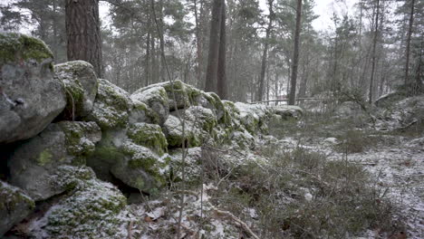 Static-shot-in-a-forest-when-its-snowing,-with-a-wall-of-rocks