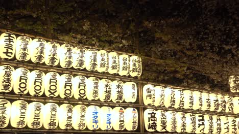 Langsame-Folgeaufnahme,-Wunderschön-Beleuchtete-Japanische-Laternen-In-Der-Nacht