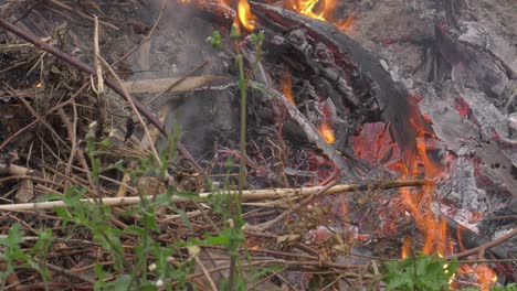 Flammen-Und-Rauchende-Asche-Verbrannter-Gartenabfälle-In-Einem-Lagerfeuer,-Ländliches-Spanien
