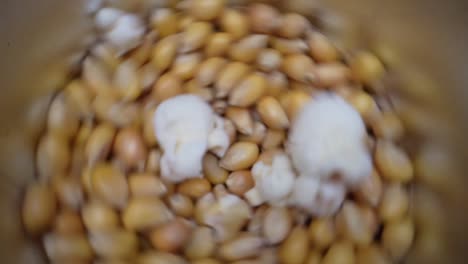 Rotating-popcorn-machine-producing-popcorn-of-yellow-maize-grains,close-up-top-down