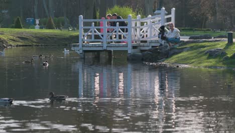 Families-Feeding-Ducks-in-Birute-Park-in-Palanga-on-Sunny-Spring-Day-while-Standing-on-Wooden-Pier