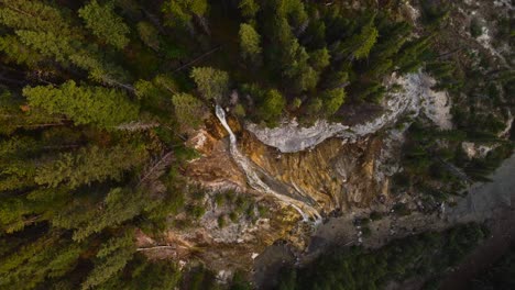 Cascada-En-El-Bosque-Tiro-Giratorio