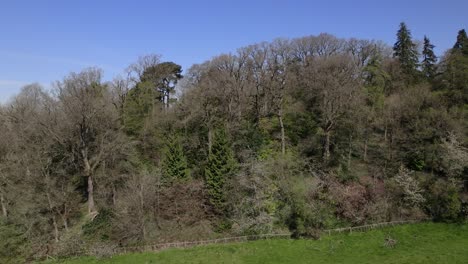 North-Cotswold-Wooded-Valley-Side-Spring-Season-Aerial-Kiftsgate-Court-Gardens-Colour-Graded