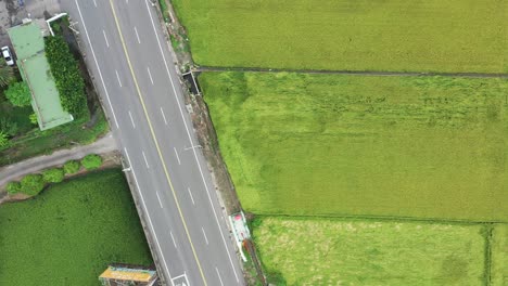 Bird-Eye-View-of-Aerial-Drone-Footage-of-Rice-Paddy-Field-with-Road-and-Traffics-to-show-the-contrast-at-Doliu-City-Taiwan