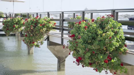 Blumendekorationen-Auf-Dem-Pier-Am-Strand