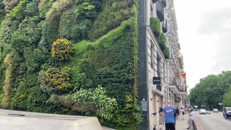 People-walking-near-a-natural-vertical-garden-breathing-fresh-air-in-the-centre-of-Madrid-city