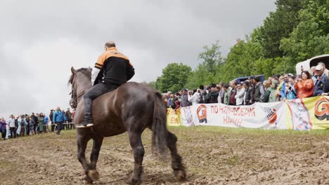 Large-powerful-work-horses-displaying-control-in-muddy-field-of-competition-at-National-festival-Bulgaria