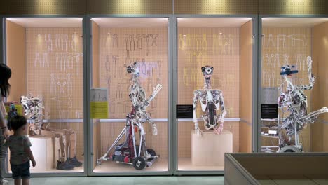 Besucher-Betrachten-Zahlreiche-Roboter,-Die-Während-Der-„Roboter“-Ausstellung-Im-Hong-Kong-Science-Museum-In-Hongkong-Ausgestellt-Werden