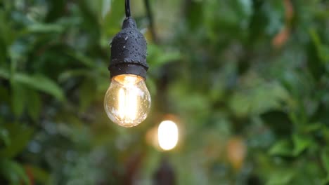 Chandelier-light-bulb-in-the-pouring-rain-on-the-background-of-green-leaves