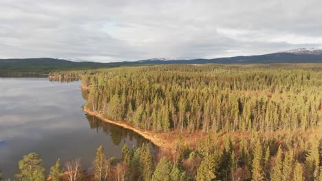 Drone-Flying-Over-Swedish-Lakefront-Alpine-Forest-Trees-On-A-Cloudy-Day