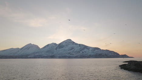 Paisaje-Invernal-Panorámico-Con-Bandada-De-Pájaros-Ostreros-Volando-Sobre-El-Océano-En-Calma-En-Tromvik,-Kvaloya-En-El-Norte-De-Noruega