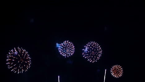 Colorful-Firework-display-at-night-on-sky-background