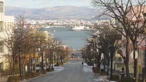 The-best-view-in-Hakodate