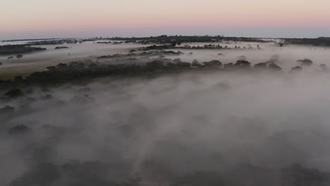 Die-Luftaufnahme-Fliegt-Rückwärts-Und-Zeigt-Die-Mystische-Morgensavanne-Simbabwes-Mit-Viel-Nebel