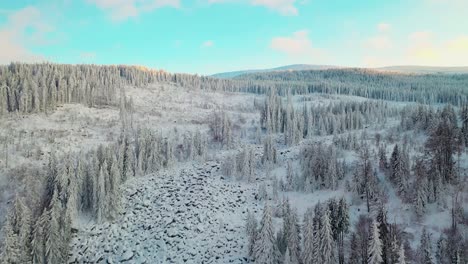 Drone-flying-over-frozen-pine-forest-on-sunny-snowy-mountain-slope