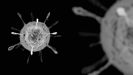 Schwarz-weißer-Virusmikroskopischer-Hintergrund-Mit-Kopierraum,-Abstrakte-3D-Animation-Mit-Bewegung-Der-Virologie