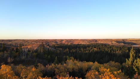 Drone-aerial-footage-revealing-a-forest-in-the-middle-of-dry-lands-of-Alberta,-Canada