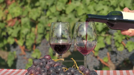 Pouring-red-wine-tasting-in-glass-at-vineyards
