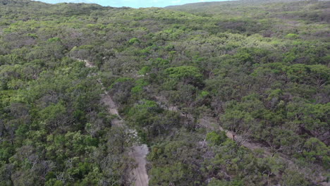Aerial-orbits-around-AWD-truck-on-sandy-road-in-Australia-coast-woods