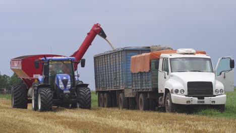 A-farmer-transfers-wheat-from-a-grain-wagon-onto-a-trailer-for-further-transportation