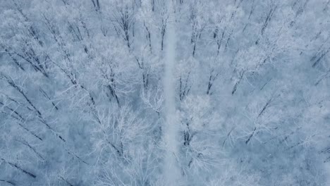 Aerial-footage-of-snow-and-hoar-frost-on-a-cold-winter-day