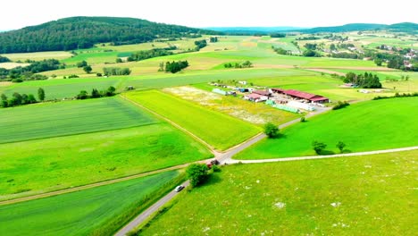 Aerial-Drone-View-Of-Lush-Green-Summer-Fields