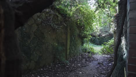 Selva-De-La-Isla-De-Tomogashima,-Ruinas-Cubiertas-De-Fuerte-Militar,-Japón