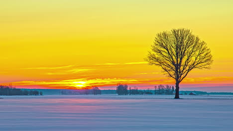 Vibrant-winter-sunrise-timelapse-over-snow-covered-landscape-with-solitary-tree
