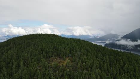 The-Manzanita-hut-deep-in-the-lush-forest-of-the-Sunshine-Coast-near-Powell-River-in-British-Columbia,-Canada