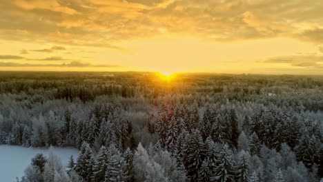 Golden-sky-during-sunset-over-snowy-white-winter-wonderland