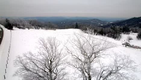 aerial-pullout-over-lone-trees-with-winter-view-near-boone-and-blowing-rock-nc,-north-carolina